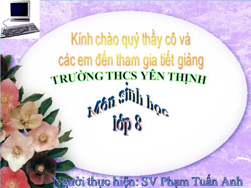 Bài 57. Tuyến tụy và tuyến trên thận