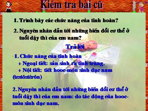 Bài 60. Cơ quan sinh dục nam