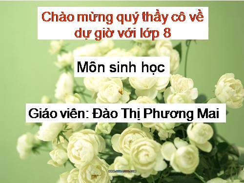 Bài 29. Hấp thụ chất dinh dưỡng và thải phân