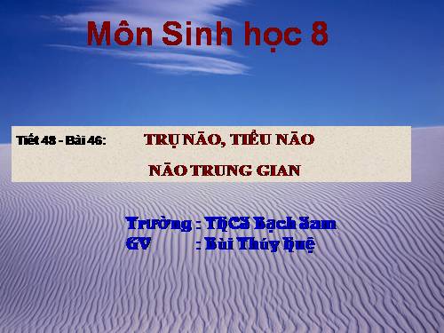 Bài 46. Trụ não. Tiểu não. Não trung gian