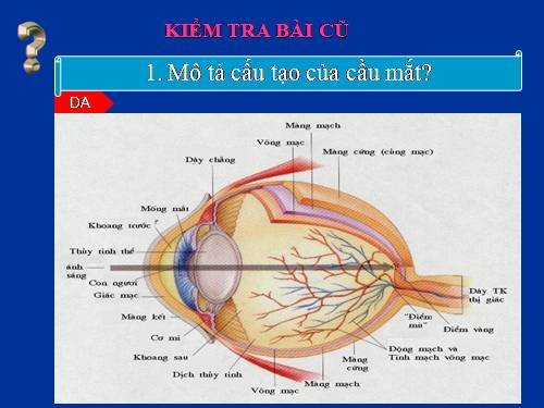 Bài 50 Vệ sinh mắt