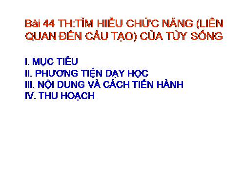 Bài 44. Thực hành: Tìm hiểu về hệ chức năng (liên quan đến cấu tạo) của tủy sống