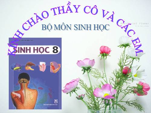 Bài 47. Đại não