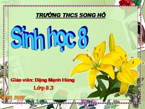 Bài 53. Hoạt động thần kinh cấp cao ở người