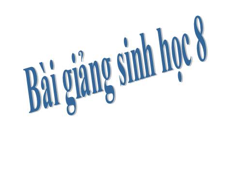 Bài 17. Tim và mạch máu