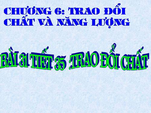 Bài 31. Trao đổi chất