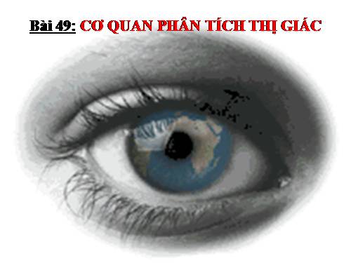 Bài 49. Cơ quan phân tích thị giác