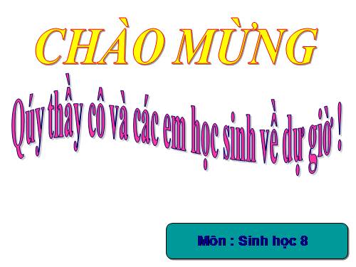 Bài 20. Hô hấp và các cơ quan hô hấp