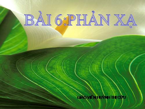 Bài 6. Phản xạ