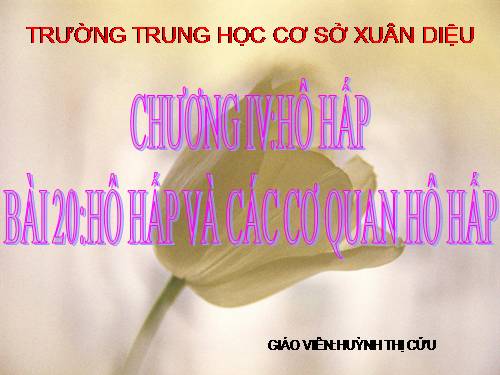 Bài 20. Hô hấp và các cơ quan hô hấp