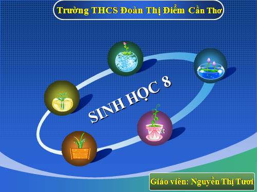 Bài 49. Cơ quan phân tích thị giác