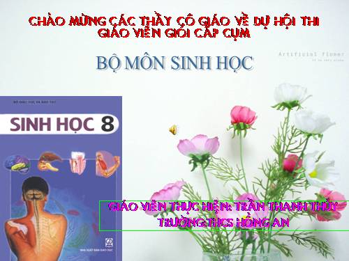 Bài 56. Tuyến yên, tuyến giáp