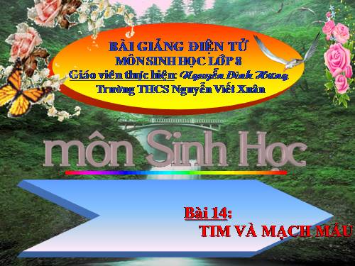 Bài 17. Tim và mạch máu