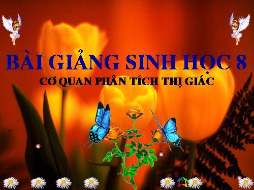 Bài 49. Cơ quan phân tích thị giác