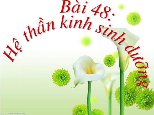 Bài 48. Hệ thần kinh sinh dưỡng