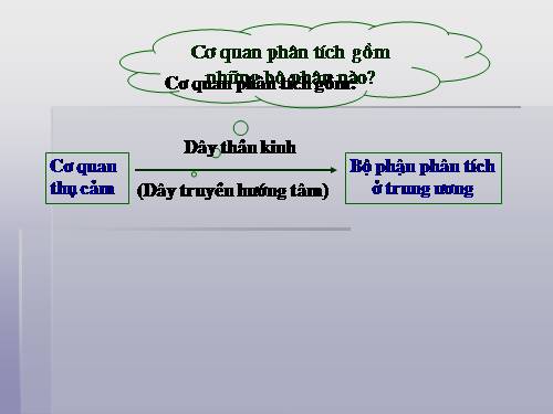 Bài 51. Cơ quan phân tích thính giác