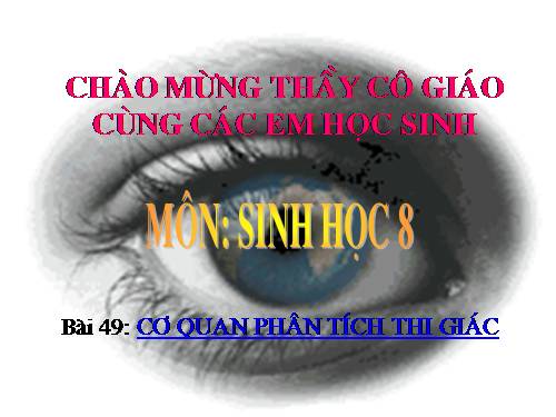 Bài 49. Cơ quan phân tích thị giác