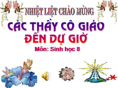 Bài 36. Tiêu chuẩn ăn uống. Nguyên tắc lập khẩu phần