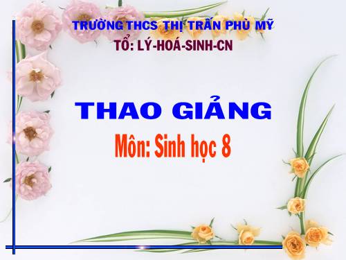 Bài 46. Trụ não. Tiểu não. Não trung gian