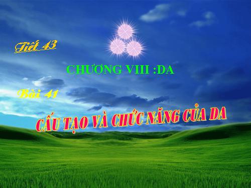 Bài 41. Cấu tạo và chức năng của da