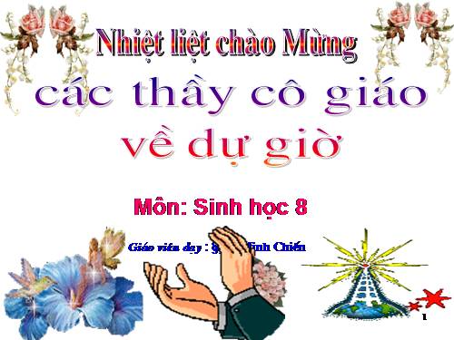 Bài 39. Bài tiết nước tiểu