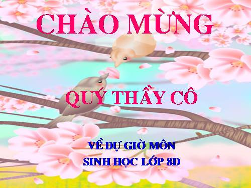 Bài 41. Cấu tạo và chức năng của da