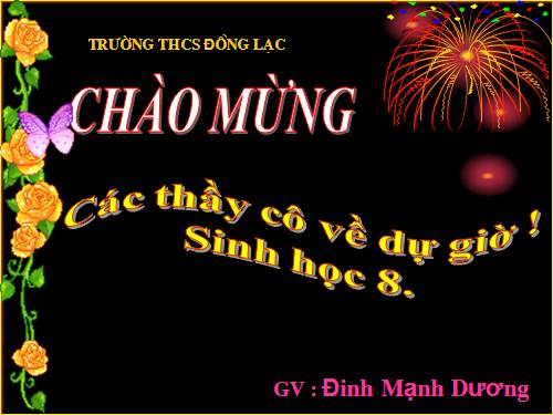 Bài 25. Tiêu hóa ở khoang miệng