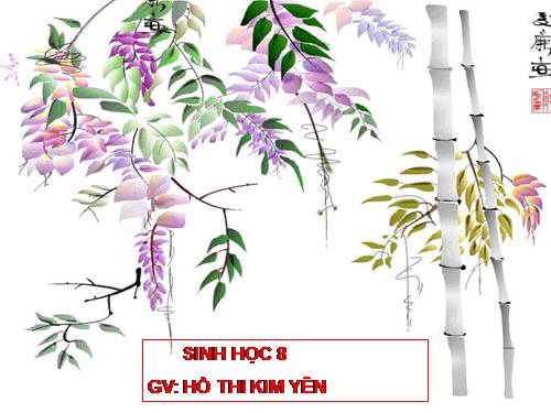 Bài 14. Bạch cầu- Miễn dịch