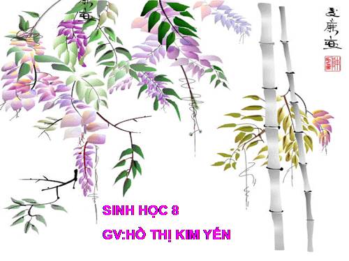 Bài 39. Bài tiết nước tiểu