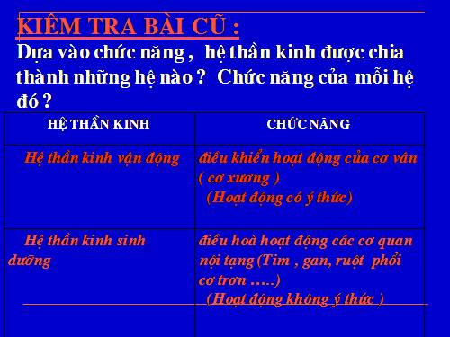 Bài 48. Hệ thần kinh sinh dưỡng