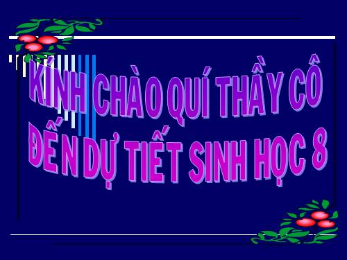 Bài 25. Tiêu hóa ở khoang miệng