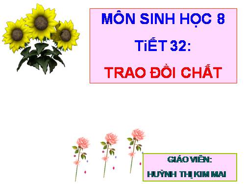 Bài 31. Trao đổi chất