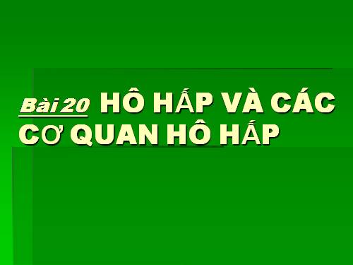 Bài 20. Hô hấp và các cơ quan hô hấp