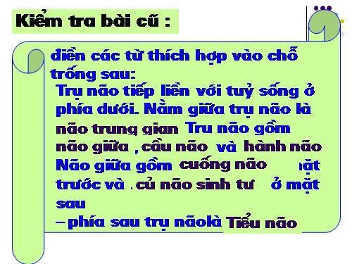 Bài 47. Đại não