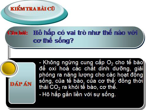 Bài 21. Hoạt động hô hấp