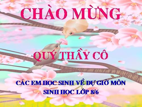 Bài 41. Cấu tạo và chức năng của da