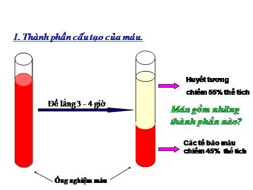 Bài 13. Máu và môi trường trong cơ thể