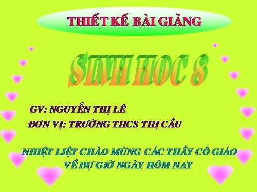 Bài 29. Hấp thụ chất dinh dưỡng và thải phân