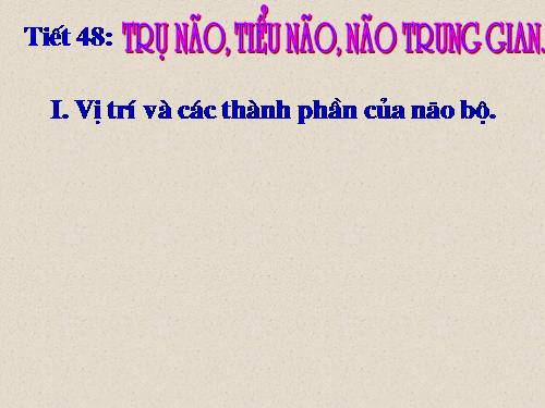 Bài 46. Trụ não. Tiểu não. Não trung gian