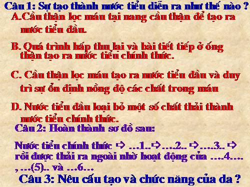 Bài 44. Thực hành: Tìm hiểu về hệ chức năng (liên quan đến cấu tạo) của tủy sống