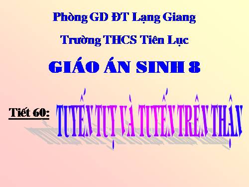 Bài 57. Tuyến tụy và tuyến trên thận