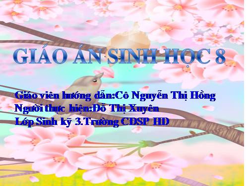 Bài 41. Cấu tạo và chức năng của da