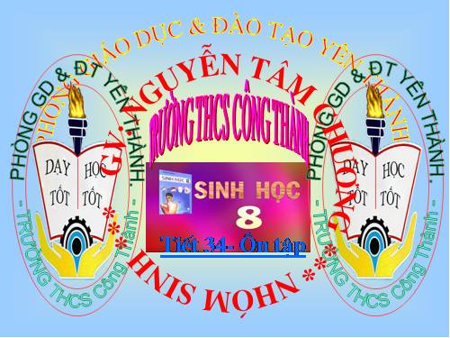 Bài 35. Ôn tập học kì I