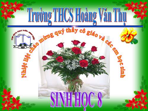 Bài 7. Bộ xương