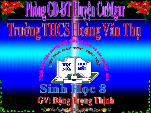 Bài 62. Thụ tinh, thụ thai và phát triển của thai