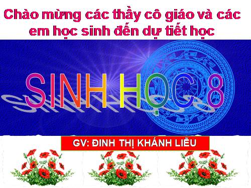 Bài 17. Tim và mạch máu