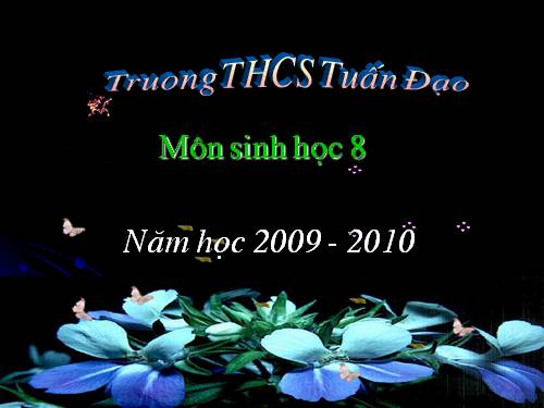 Bài 24. Tiêu hóa và các cơ quan tiêu hóa