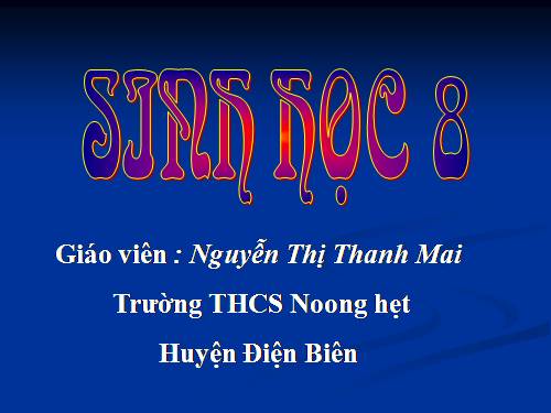 Bài 28. Tiêu hóa ở ruột non