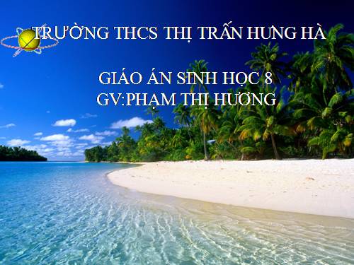 Bài 38. Bài tiết và cấu tạo hệ bài tiết nước tiểu