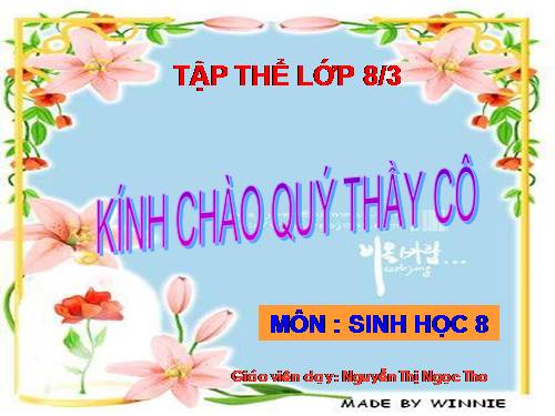 Bài 14. Bạch cầu- Miễn dịch